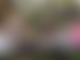 Die GAL Steinfurt startet durch – Bericht der Mitgliederverammlung