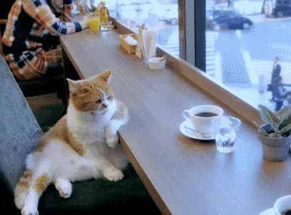 café du commerce-draveil.gif