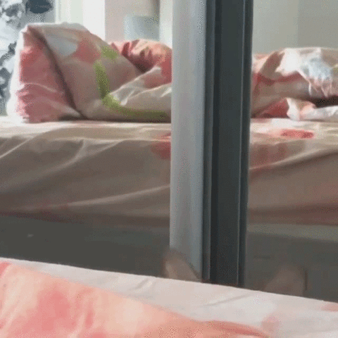 Bouge ton fion et ta culture - Activités culturelles lundi BTF