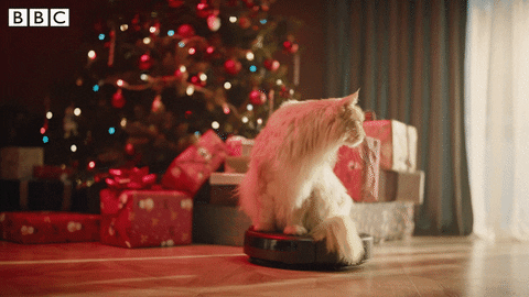 🎅🏻 Allez, en 2022, tu t'offres une stratégie sur-mesure !