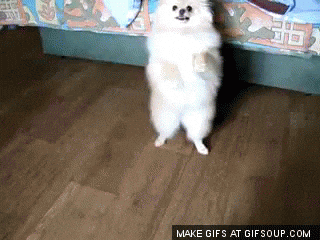 Batucada draveil.gif