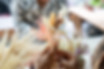 DSC06876.webp
