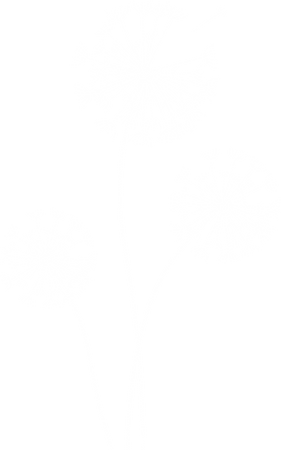 Résonance Kinésiologie | Elise Gauvin | Pissenlit