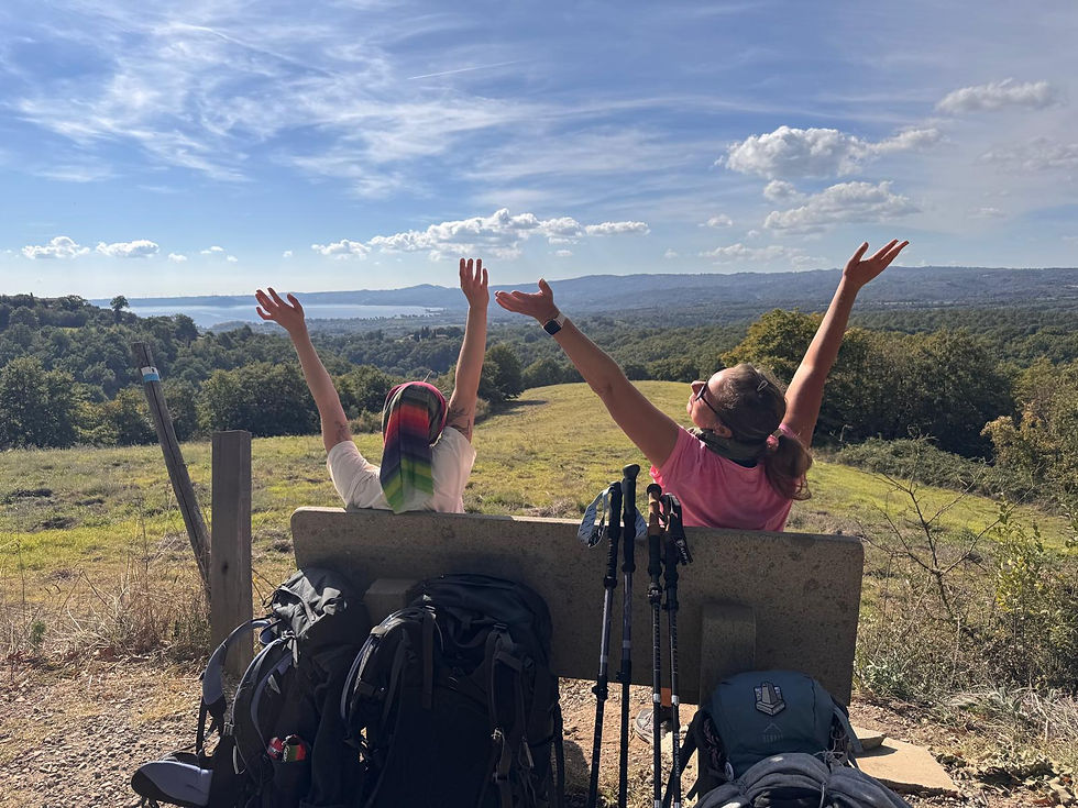 Camino in the summer