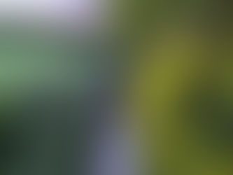 How travel can transform your life: beyond just the journey