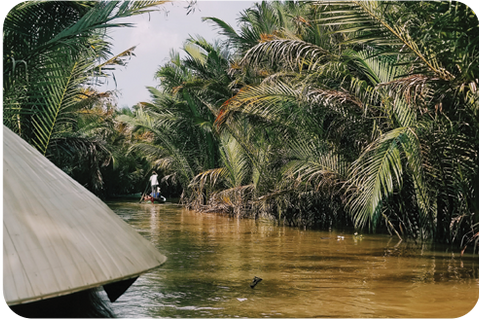 The morning view of rice fields on the way to the Mekong River is a perfect start to this day trip from Ho Chi Minh City. Your guided visit to the Mekong Delta includes a boat journey to Dragon, Unicorn, Phoenix, and Tortoise Island. Taste delicacies made by local villagers, experience the fresh air scented by flowers amid the jungle greenery and let the tunes of Vietnamese folk music entertain you.