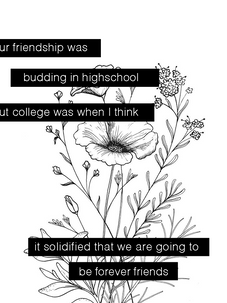 29.png