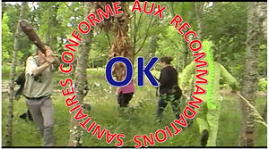shortcuttogether1.jpg