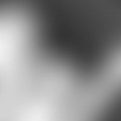 Anatomía de una historia