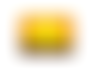 Easter Sunday of the Resurrection of the Lord April 4-5, 2026
