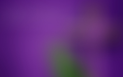 Fourth Sunday of Lent Bulletin - March 14, 2021