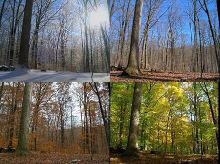 Knowing Your Times and Seasons