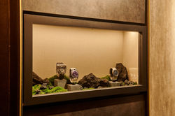 Window Display Styling for luxury watches @ Kim Watch