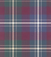 tartan_edited_edited.jpg