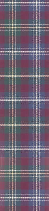 tartan_edited_edited.jpg