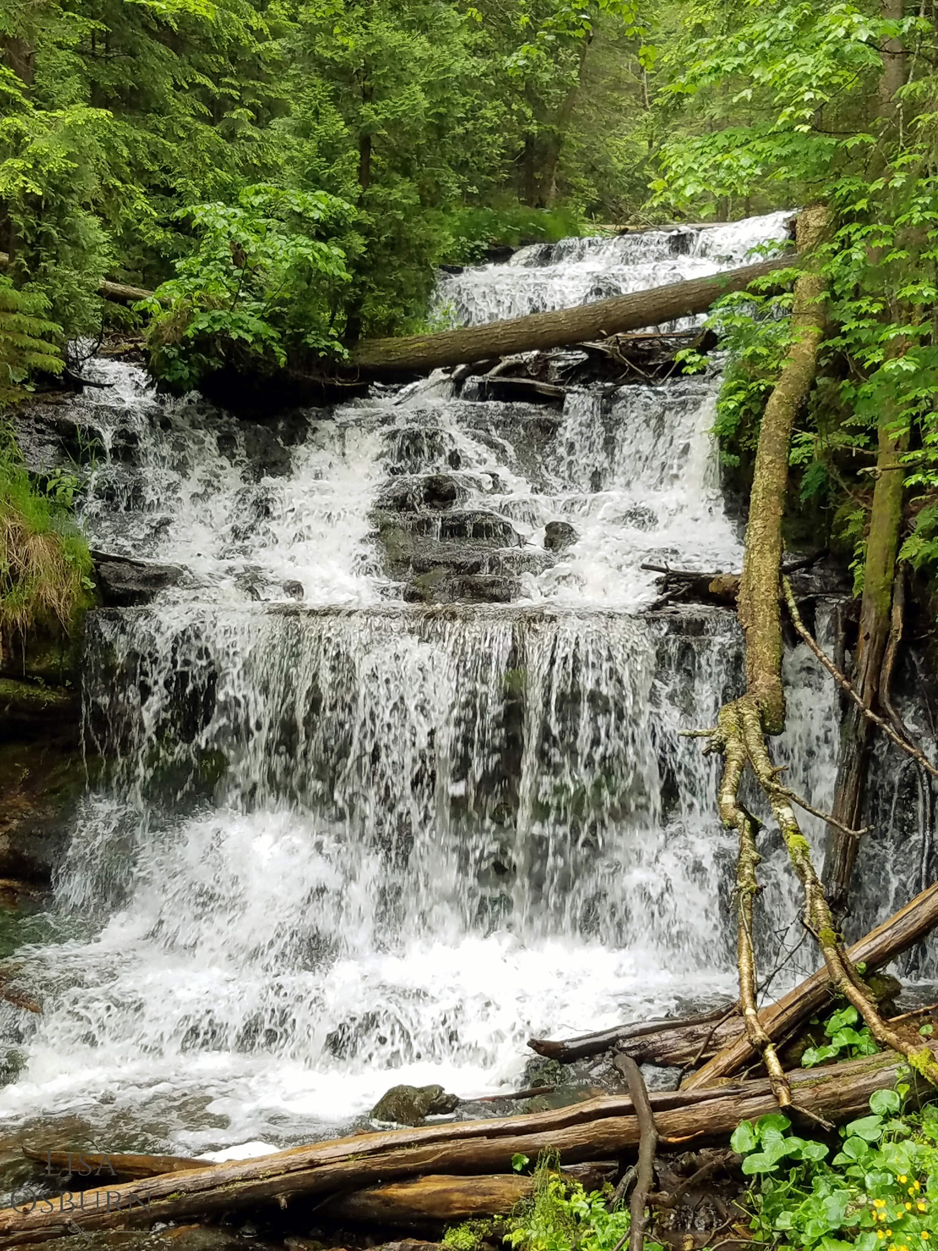 Munising Falls_ArtistLLO.jpg