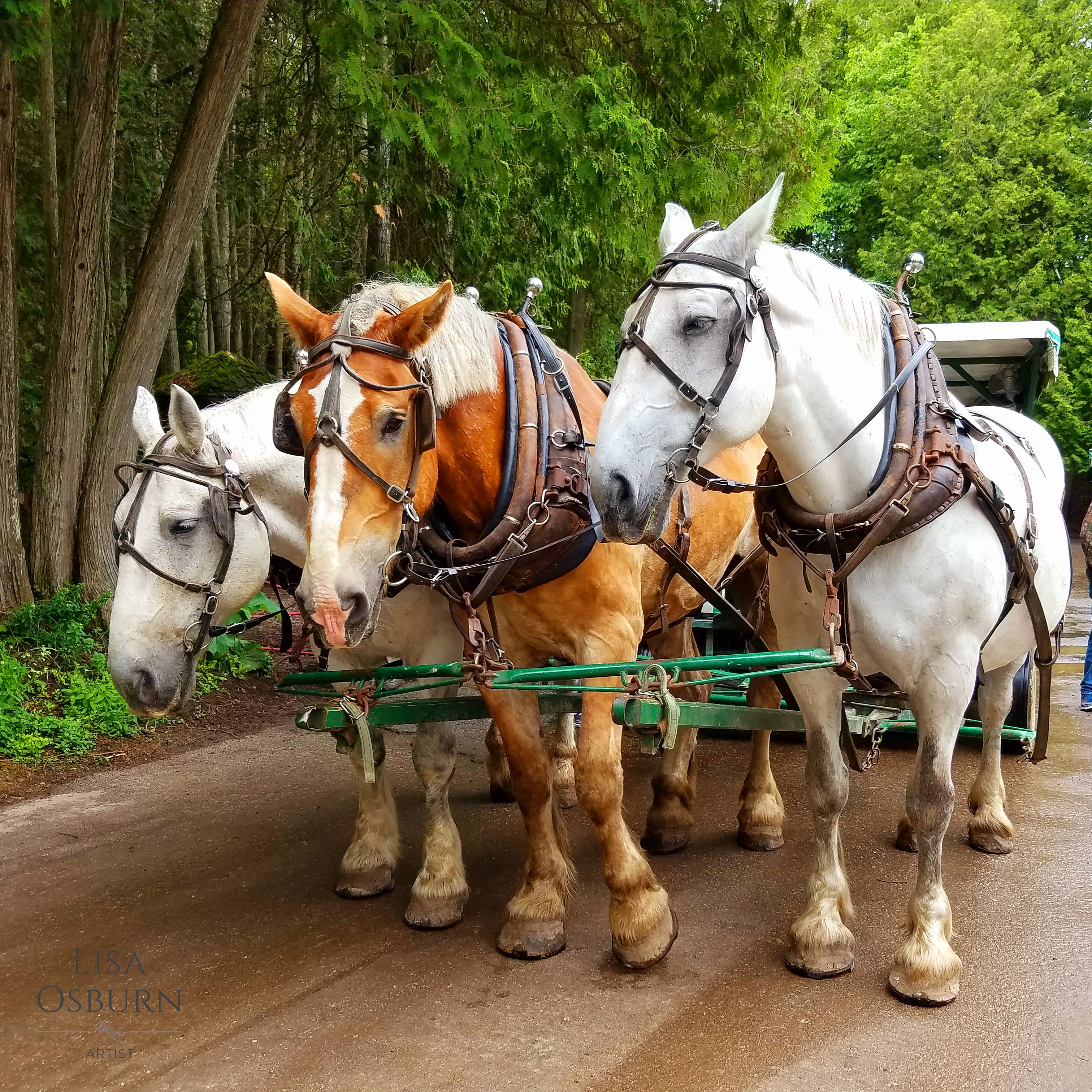 Mackinac Island horses ArtistLLO.jpg