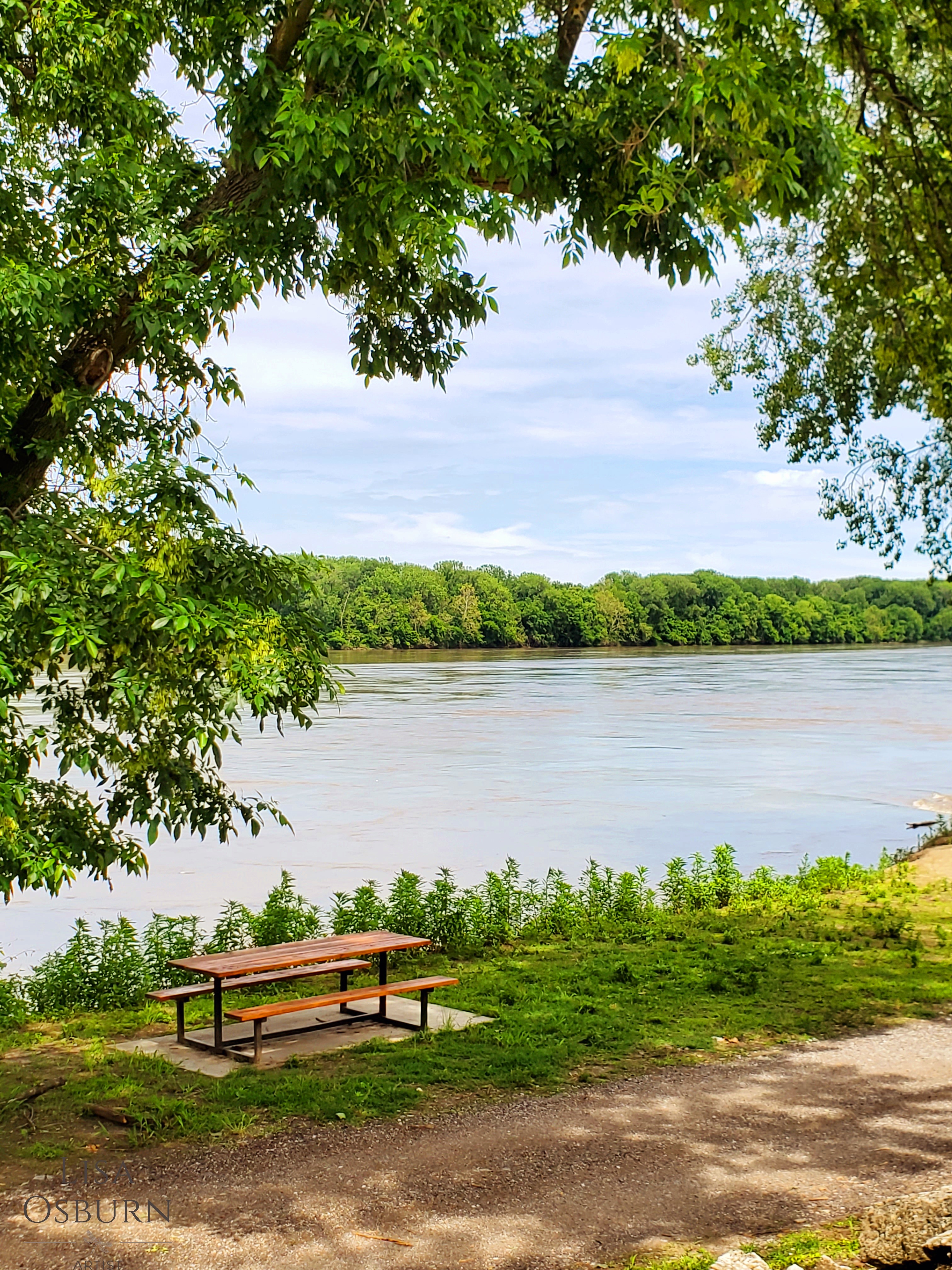 NewHaven MO2_ArtistLLO.jpg