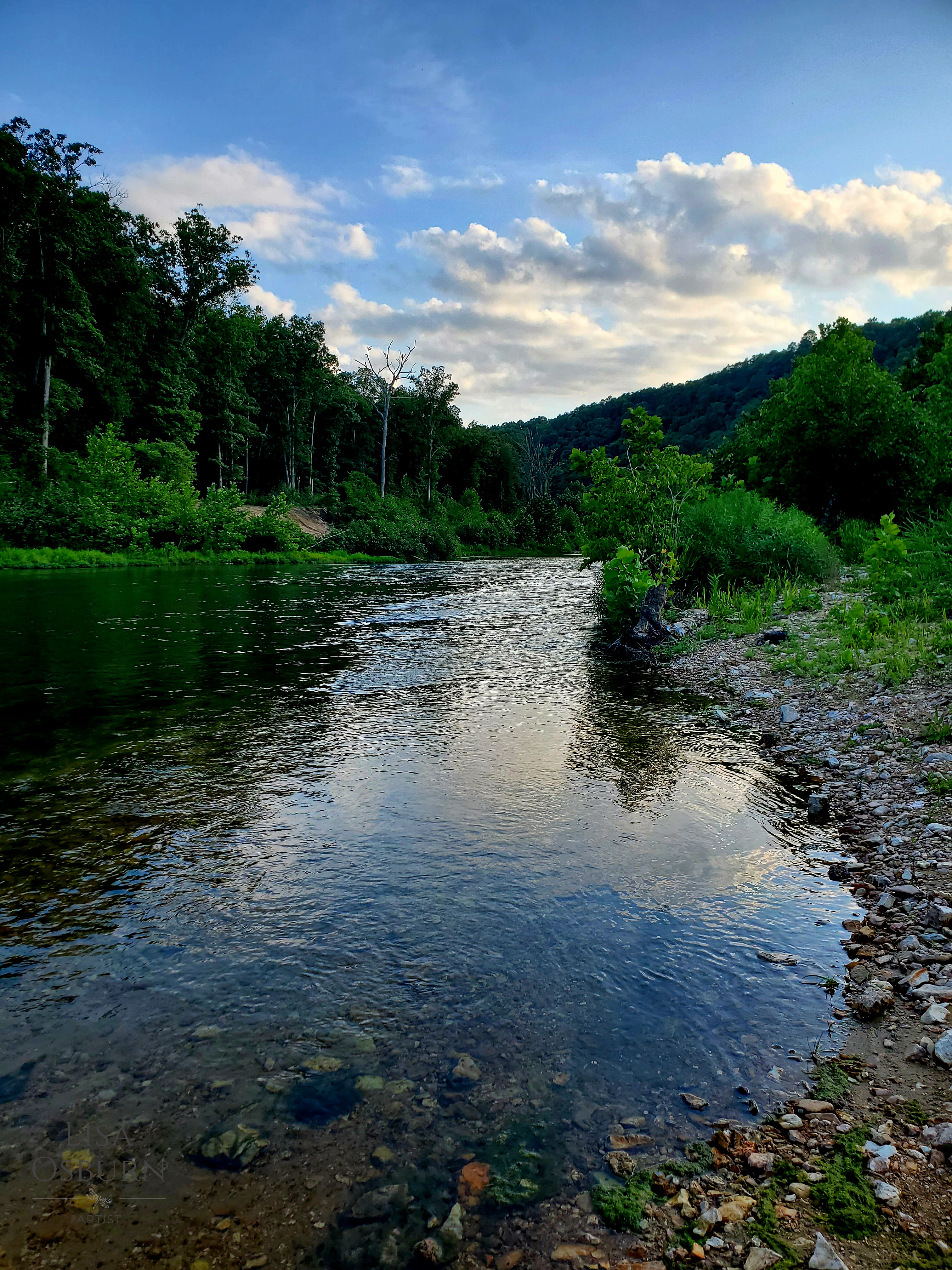 North Fork River_ArtistLLO.jpg