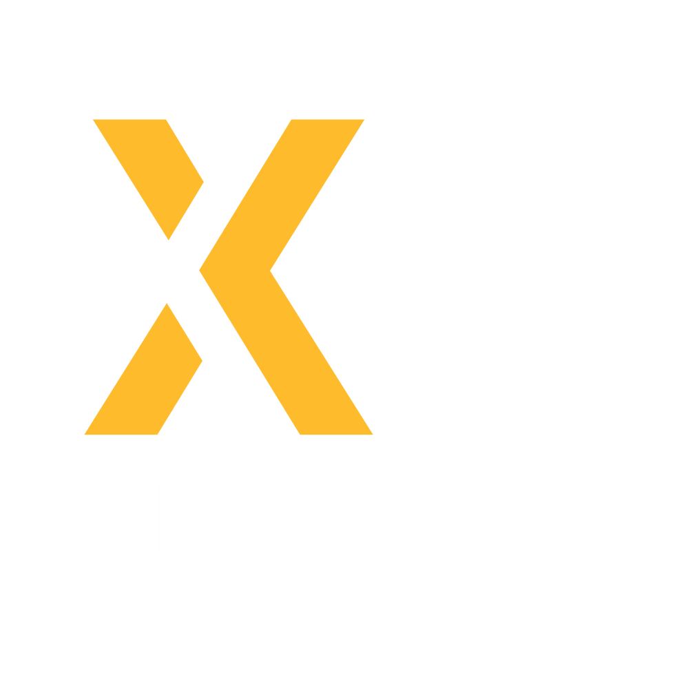 xrpaint logo