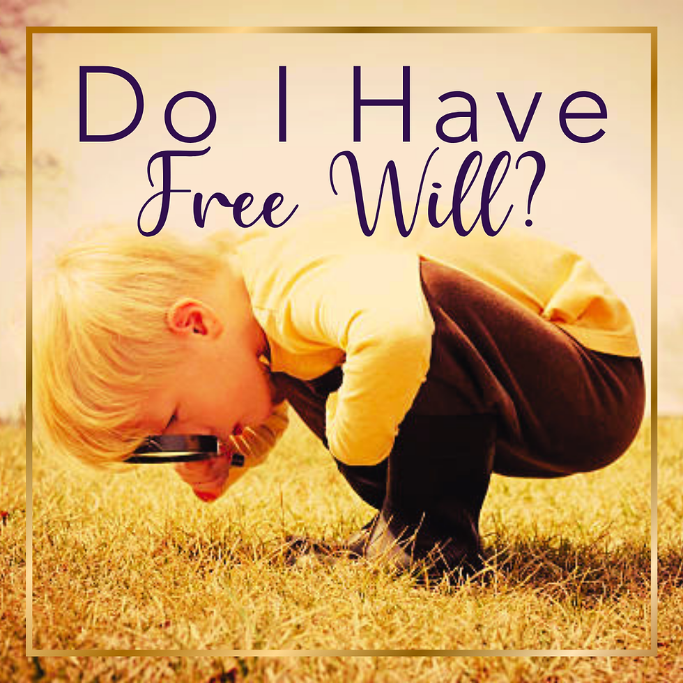 Do I Have Free Will? What Is Free Will?
