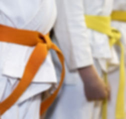 Martial Arts Class