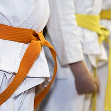 Martial Arts Class