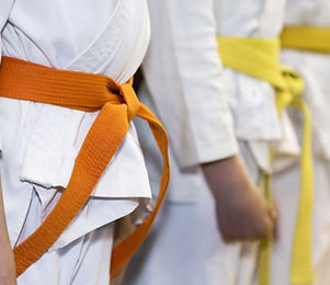 Martial Arts / self defence class West Midlands