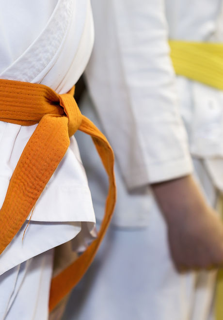 Martial Arts Class