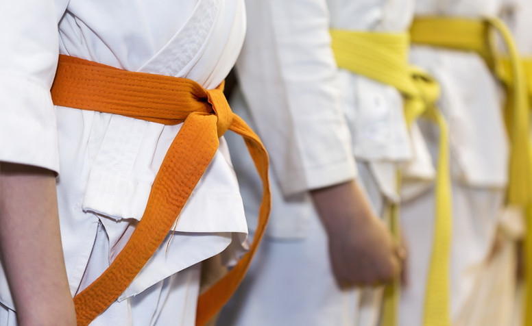 Nihon Taï Jitsu Arts martiaux aire sur l'adour self defense