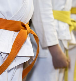 Martial Arts Class