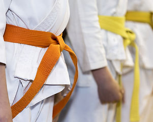 Martial Arts Class