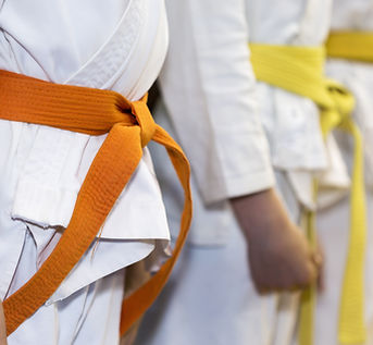 Martial Arts Class