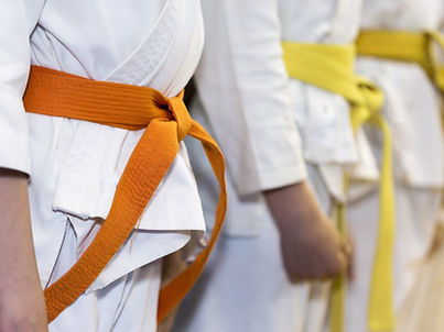 Martial Arts Class