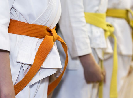 Martial Arts Class