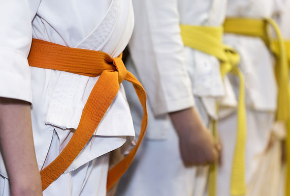 Martial Arts