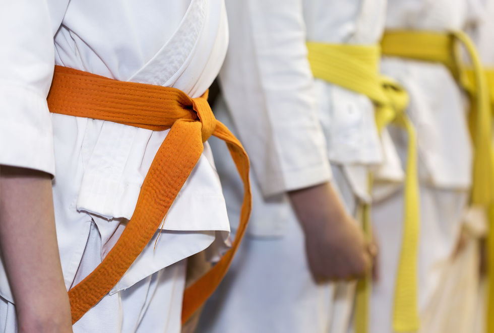 Cinturones de artes marciales