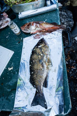 a black rockfish ready for the grill