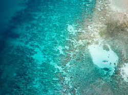 Clean island waters