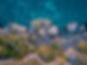 DJI_0646.jpg