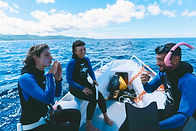 SiquijorFreediving-115 copy.jpeg