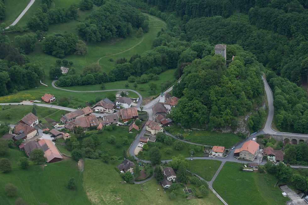 Agence immobilière Les Cullayes.jpg