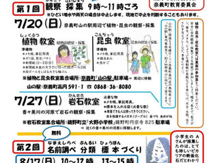 今年も夏休みの自然教室を実施しました