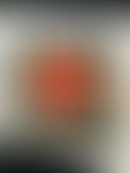 2025/1/29 ベトナムの旧正月テトでした!