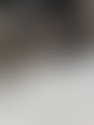 2023/4/4 型枠施工の基礎級技能検定!