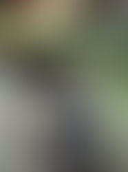 2026/4/3 茨城県へ巡回指導!