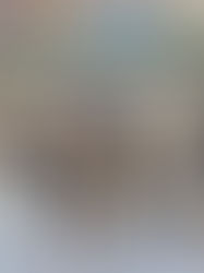 2025/5/30 インドネシア人技能実習生配属@茨城 インドネシア人技能実習生帰国&ベトナム人技能実習生マイナンバーカード@八王子