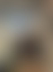 2026/4/13 法定保護講習&基礎級(農業)技能検定&在留カード再交付の巻