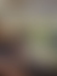 2025/8/2 東京都豊島区の組合員企業さま巡回訪問