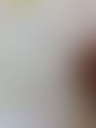 2025/4/30 埼玉県八潮市実習実施者へ監査訪問